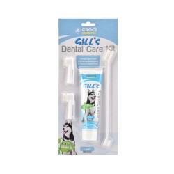 KIT GILL'S DENTAL CARE