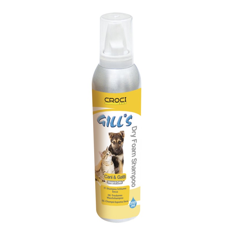 GILL'S DRY FOAM SHAMPOO