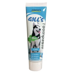 GILL’S DENTIFRICE MENTHE