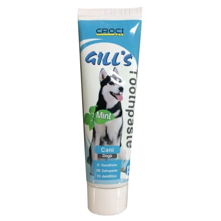 GILL'S MINT TOOTHPASTE