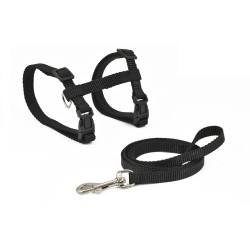 CAT HARNESS AND LEASH