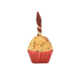 PARTY SNACK CUPCAKE 65g MOQ...
