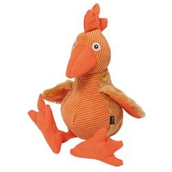 PACO ROOSTER