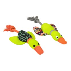 HARRY THE DUCK WITH COTTON DENTAL ROPE