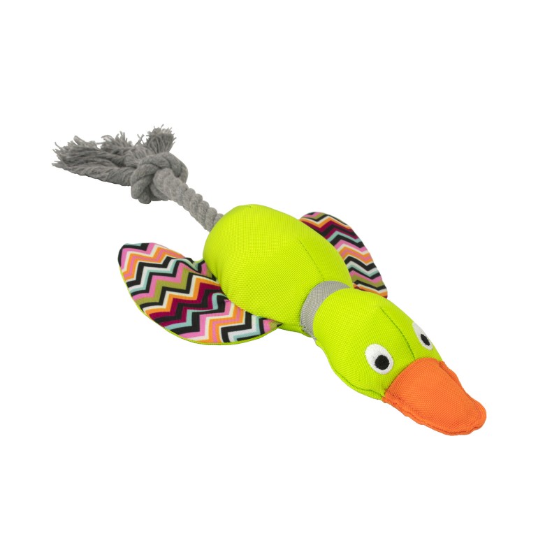 ENTE HARRY MIT KAUSEIL