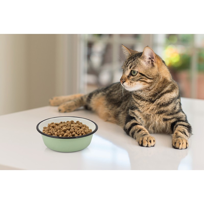 CAT SHADOW STAINLESS STEEL FEEDER