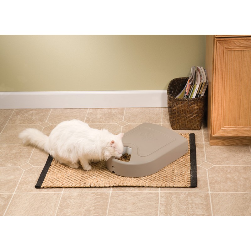 DISTRIBUTEUR CROQUETTES AUTOMATIQUE CINQ REPAS