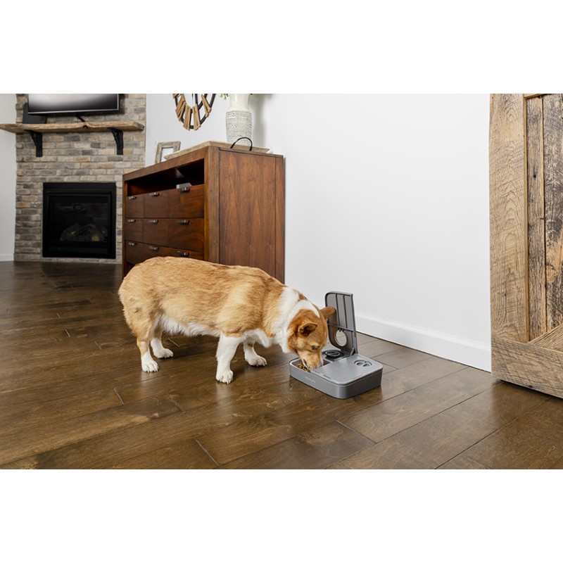 COMEDERO AUTOMATICO DE DOS COMIDAS