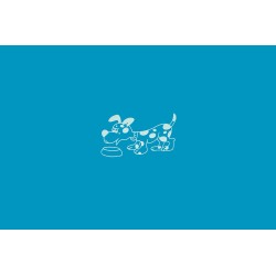 GAMELLE EN ACIER INOXYDABLE SPOT 2