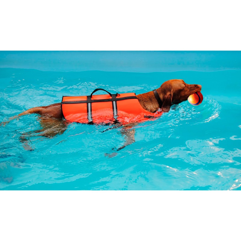 LIFE JACKET