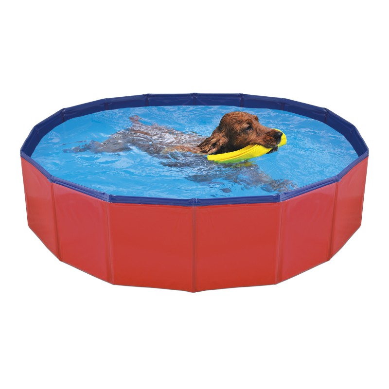 PISCINA PARA CÃES