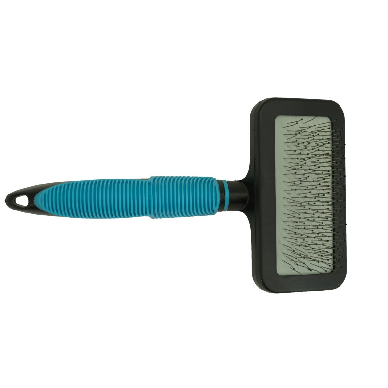 BROSSE CARDE