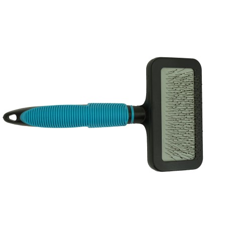 BROSSE CARDE