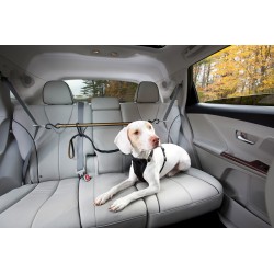 KURGO BLACK AUTO ZIP LINE WITH TETHER LEASH