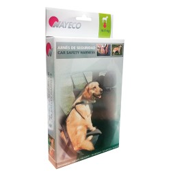 ARNÊS X CARRO 2