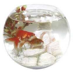 TANQUE GLOBO DE VIDRO DIÂMETRO 25 CM