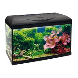 AQUARIUM BASIQUE POSEIDON RIVIERA 2