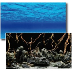 DOPPELTE RÜCKWAND MYSTIC