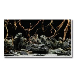 MYSTIC DOUBLE BACKGROUND 2