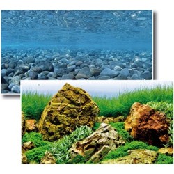 TWO-SIDED BACKGROUND