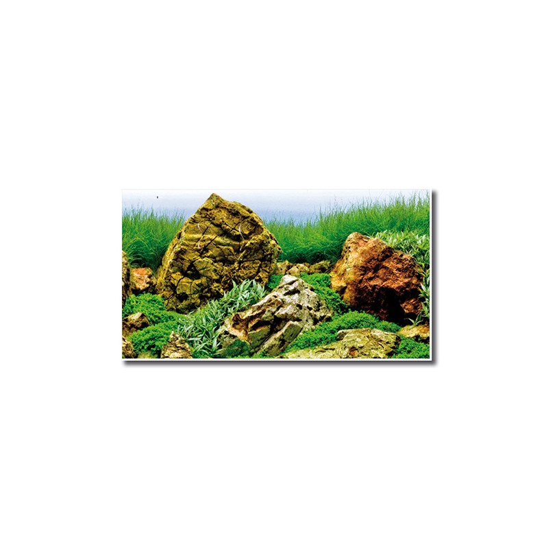 TWO-SIDED BACKGROUND