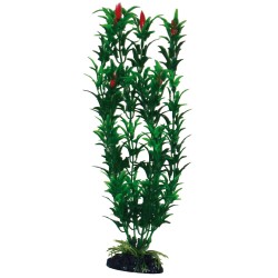 PLANTA PLASTICO EGERIA