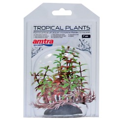 PLANTA TROPICAL