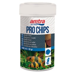 CHIPS AMTRA PRO