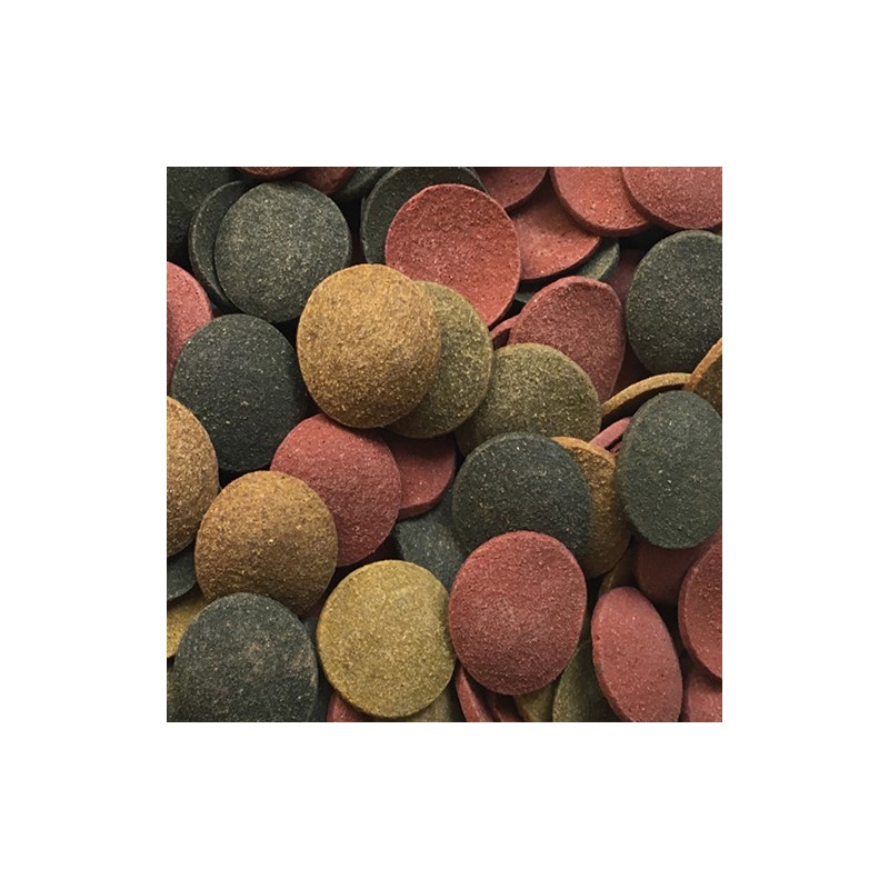 AMTRA PRO CHIPS