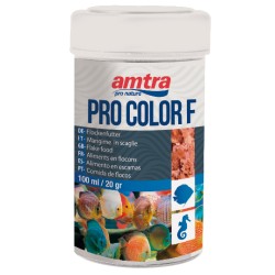 COULEUR AMTRA PRO