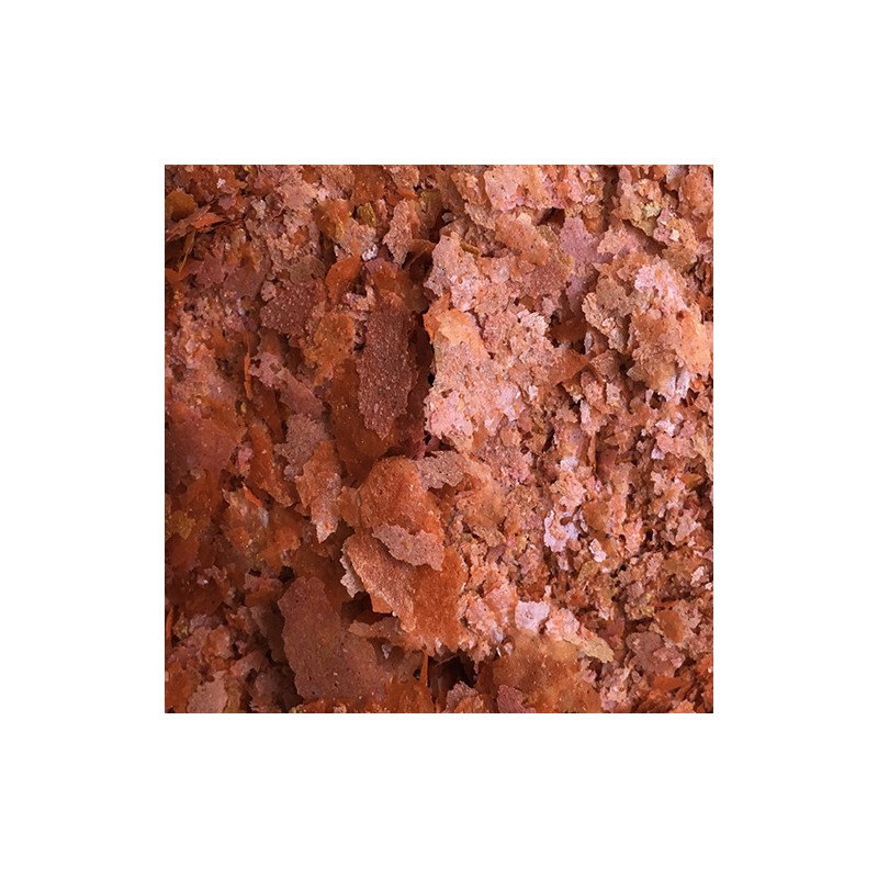 AMTRA PRO COLOR