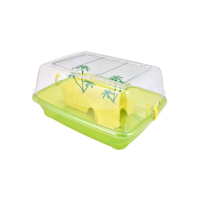 WASSERSCHILDKRÖTE PACIFIC