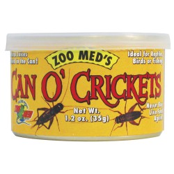 CAN OR CRICKETS