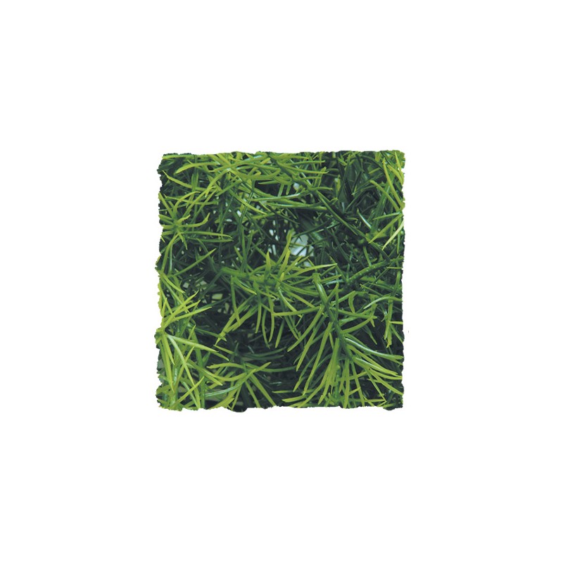 PFLANZE KUNSTSTOFF CASHUARINA