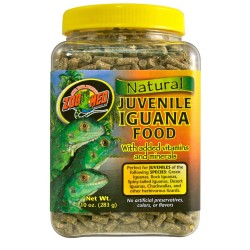 COMIDA IGUANA JOVEN