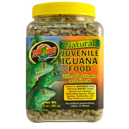 YOUNG IGUANA FOOD