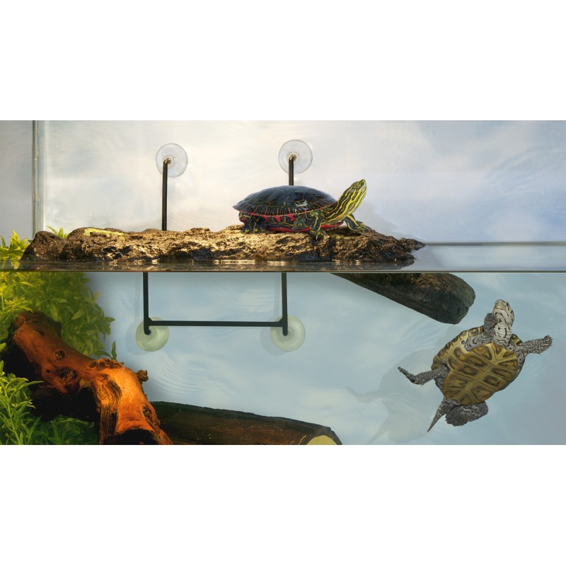 TURTLE DOCK ISLAND