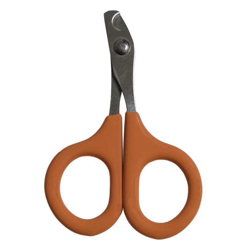 KIT CURE PER RODITORI PET BARBER