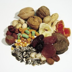 ALIMENTO PARA PAPAGAYOS 1,5KGR.