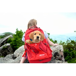 G-TRAIN KURGO BACKPACK K9