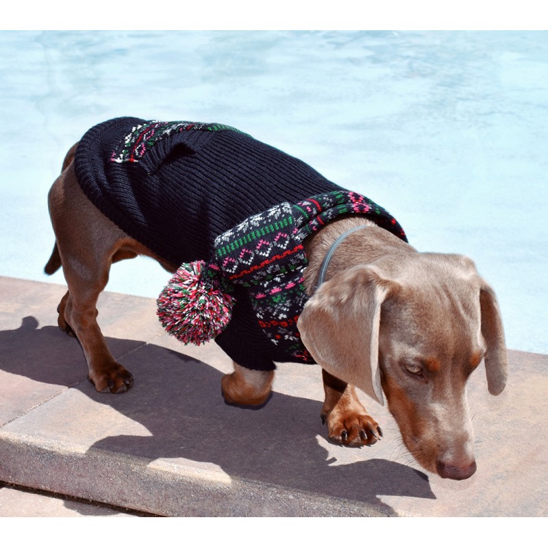 COLLEGE KNITTED SWEATER