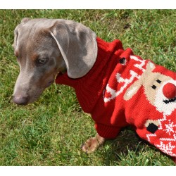 REINDEER KNITTED SWEATER
