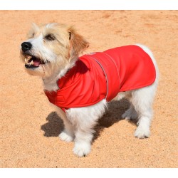 DANCING RAIN RED RAINCOAT 2