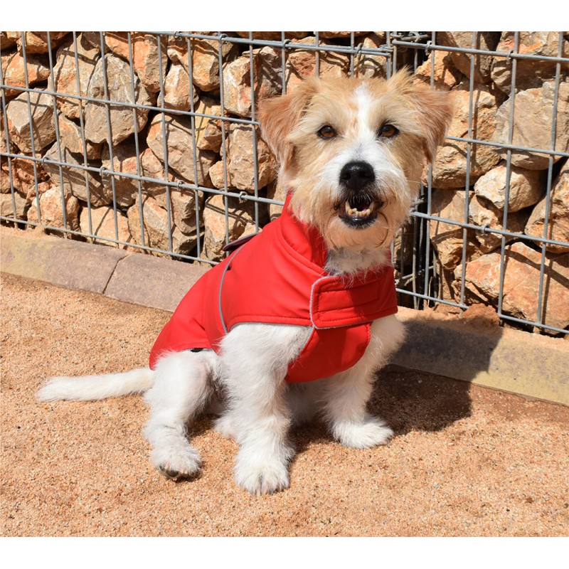 DANCING RAIN RED RAINCOAT