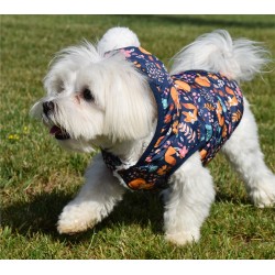 JACKE MIT KAPUZE FOX 2