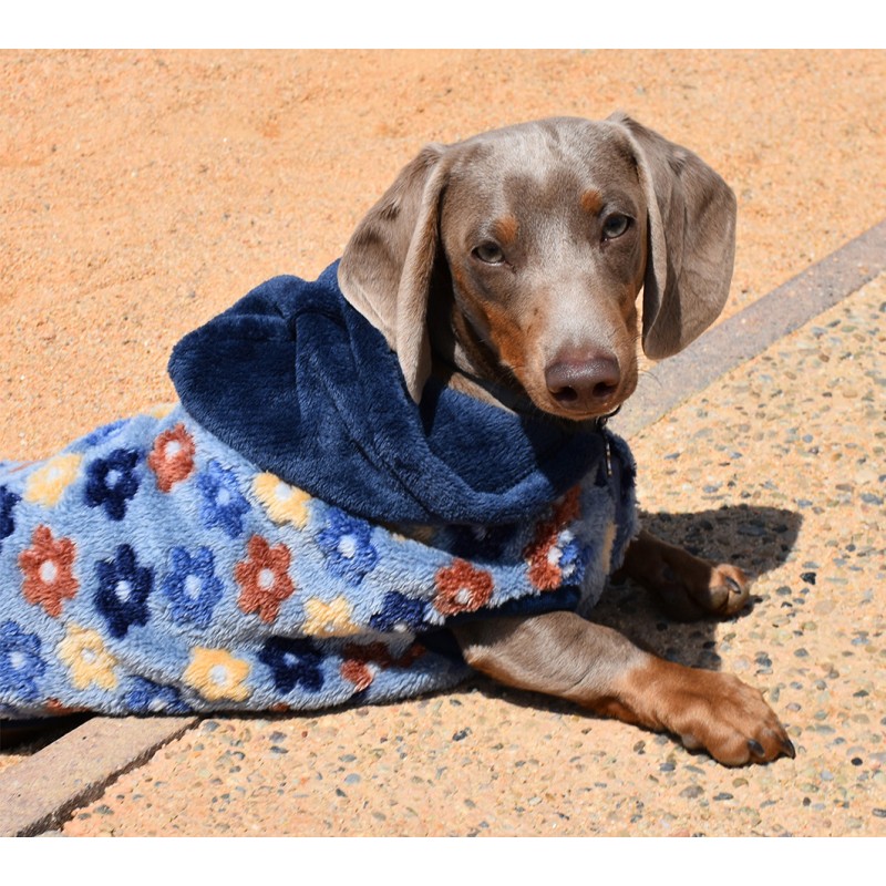 SUDADERA CON CAPUCHA SPRING