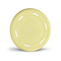 FRISBEE COLORES SURTIDOS 25CM 2