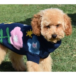 JERSEY PUNTO AGATA 2