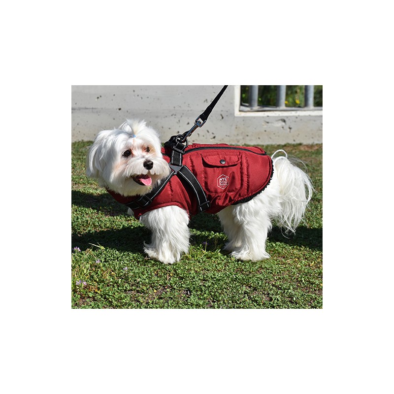 VESTE AVEC ARNES ROUGE