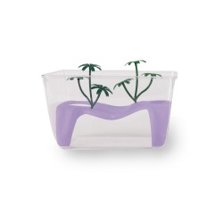 TARTARUGUEIRA DUNA 2